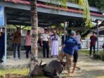 IMG-20260527-WA0016